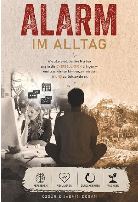 Buchcover mit dem Titel „Das Lithium-Komplott“ und abstrakter Hintergrundgrafik.